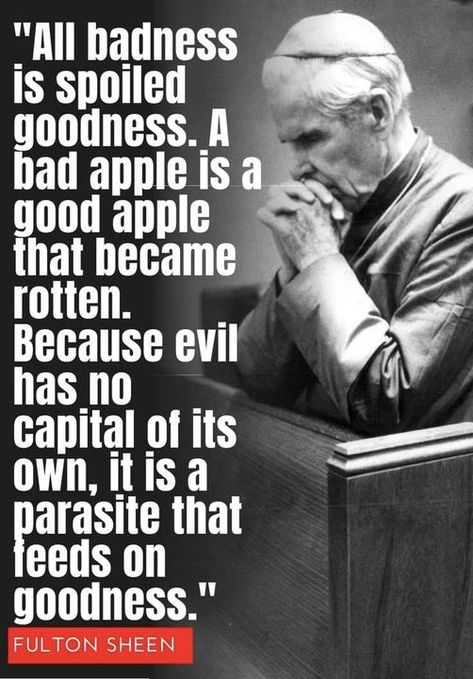 Venerable Fulton J. Sheen Rotten Apple Quote, Bad Apple Quotes, Fulton Sheen, Discipline Quotes, Saint Quotes Catholic, Funny Feelings Quotes, Bad Apple, Christian Images, Gods Love Quotes