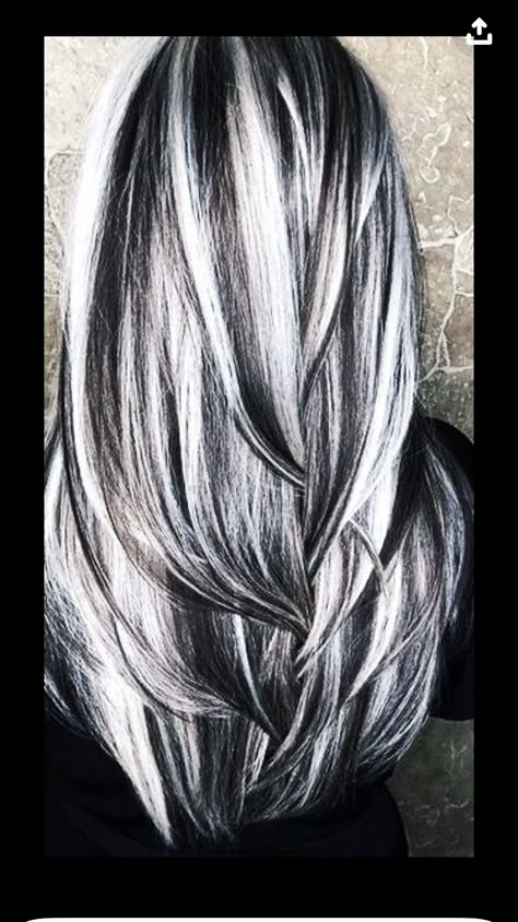 Black Hair With Grey Highlights Long, Black Lowlights In Gray Hair, Wide Highlights Hair, Black And Gray Hair Highlights, Grey Hair Black Highlights, Long Two Tone Hair, Silver Hair Black Highlights, Gray Hair With Black Lowlights, Icy Grey Blonde Hair Dark Roots