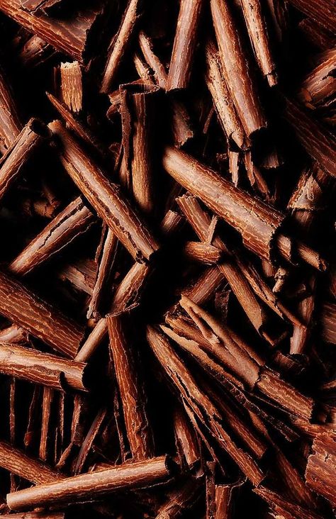 Cinnamon quills Fudge Cake, Chocolate Shavings, Brown Aesthetic, Brown Beige, Textures Patterns, Cinnamon Sticks, Chocolate Brown, Fudge, Dark Chocolate