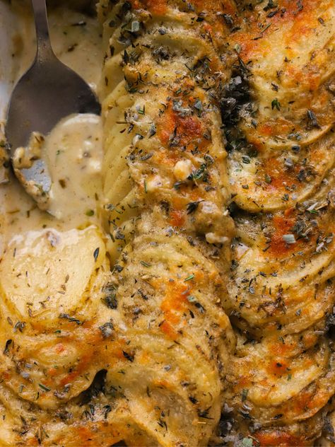 Potatoes au Gratin Augratin Potatoes, Au Gratin Potatoes Easy, Potato Au Gratin, Maple Glazed Carrots, Au Gratin Potato Recipes, Gluten Free Stuffing, Recipes For The Week, Creamed Onions, Thanksgiving Side Dish