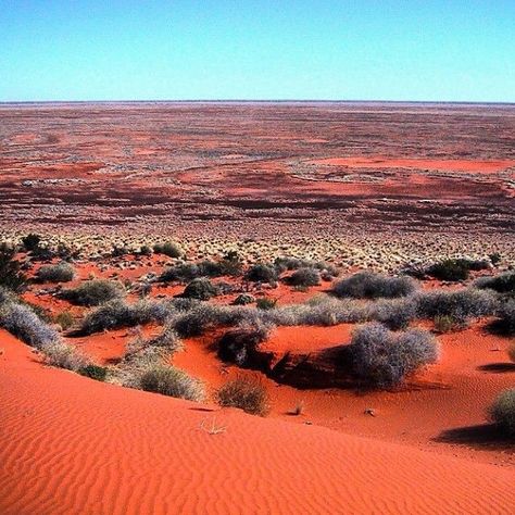 Simpson Desert, Australian Landscapes, Australian Desert, Australia Landscape, Northern Territory Australia, Australian Landscape, Outback Australia, Australian Outback, Alice Springs