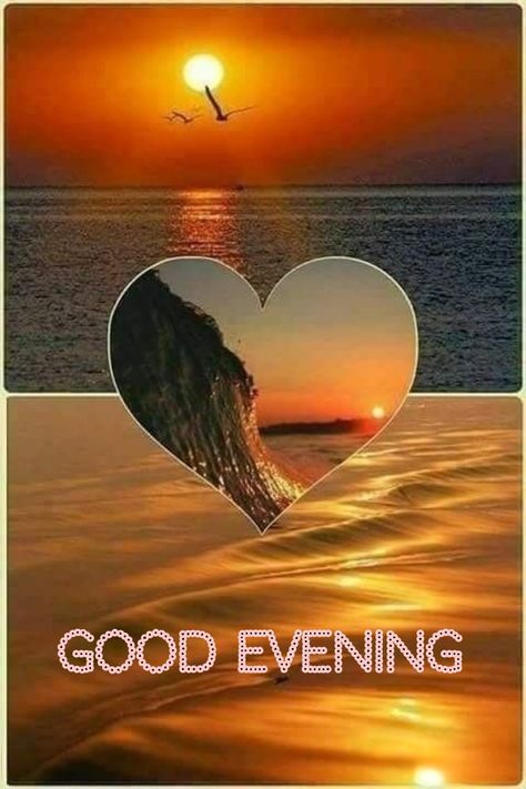 Good Evening My Love, Evening Pics, Good Night Friends, Good Night Blessings, Beautiful Art Pictures, Good Morning Good Night, Good Evening, Picture Quotes, Art Pictures