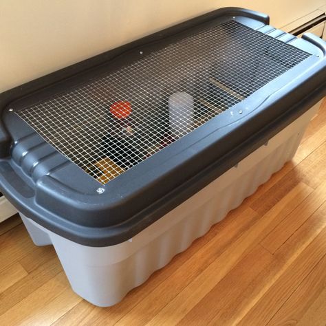 In preparation for my first flock of chicks I built this brooder. I had no idea what to expect or how fast they would grow but this was quite sufficient for the first 3 weeks. I searched for the ... Diy Chick Brooder, Chick Brooder, Brooder Box, Chicken Brooder, Chicken Houses, Chicken Pen, Chicken Life, Cat Proofing, Coops Diy