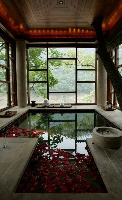 Indoor Swimming Pool, Indoor Swimming, Swimming Pool, Trees, Swimming, Pool, Flowers, Red