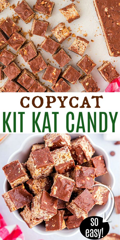 These copycat Kit Kat bites are a homemade version of my favorite candy bar. Milk chocolate and crispy rice cereal come together in a bite-sized treat you can enjoy anytime! Truffles Candy, Gooey Desserts, Sweet Deserts, Filled Chocolates, Organization Binder, Candy Creations, Viral Recipes, Best Chocolate Desserts, Shugary Sweets