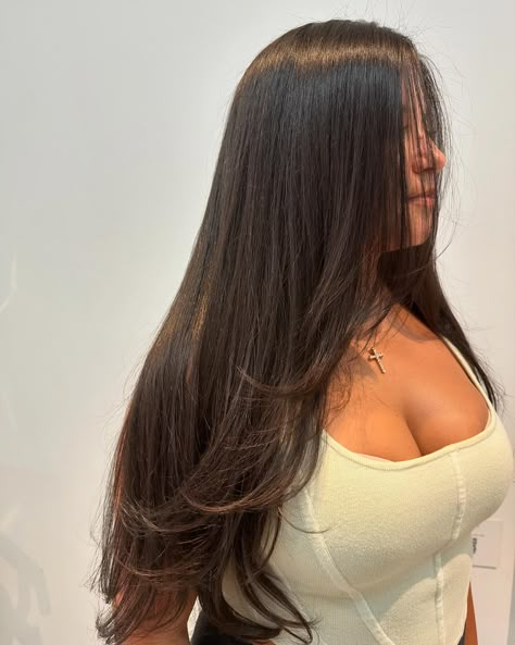 Leveling up with every layer 💇‍♀️ swipe for before ! stylist : @sashdoeshair • • • #vidovwestsalon #nycsalon #nychairstylist #davines #davinesproducts #haircuts #longlayers #layers #longhair #blowout #blowoutcut #vidovhair #haircutdavines Light Front Layers, Light Layers On Long Hair, Longer Layers Long Hair, Light Layers Long Hair, Long Brunette Layers, V Haircut For Long Hair With Layers, Long Layers On Curly Hair, Light Layers Haircut Long, Long Layers On Long Hair