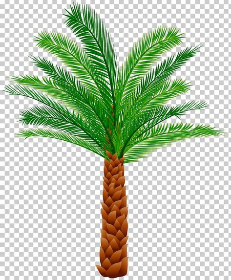 Palm Tree Clip Art, Palm Tree Png, Palm Tree Vector, Trees Png, Palm Tree Plant, Eid Card, Sago Palm, Eid Card Designs, Clip Art Free