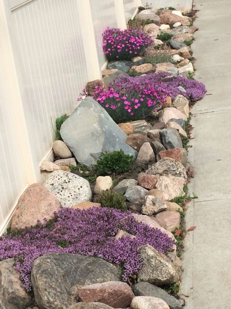 Maintance Free Landscaping, Shady Corner Garden Ideas, Rock Flower Beds In Front Of House, Front Yard Oasis, Creative Landscaping, Wooded Landscaping, Rock Garden Design, Walled Garden, Rock Garden Landscaping