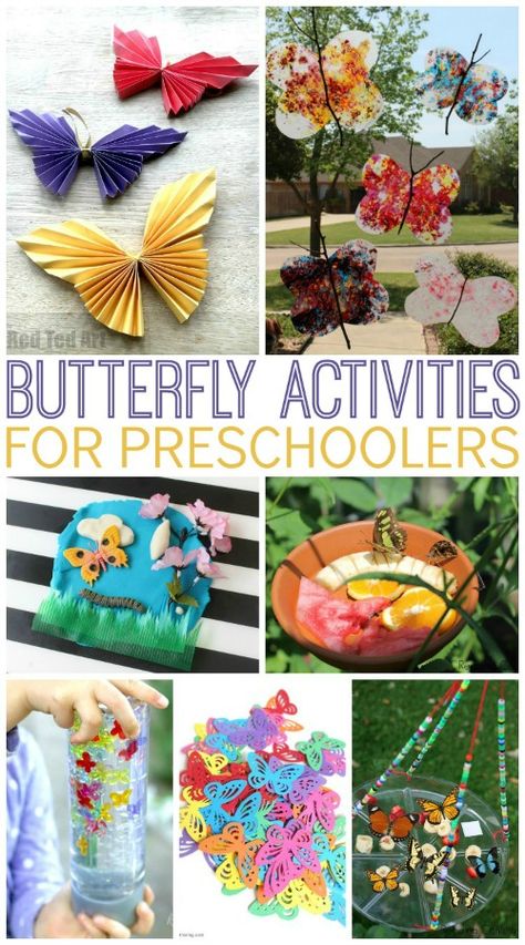 Preschool Butterfly Theme, Butterfly Activities, Butterflies Classroom, Butterfly Lessons, Spring Theme Preschool, Bug Activities, Insects Preschool, Butterflies Activities, Garden Unit