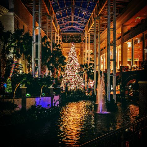 Christmas in Nashville Nashville Christmas Aesthetic, Opryland Hotel Christmas, Christmas In Nashville, Nashville Christmas, Opryland Hotel, Nashville Hotels, 2024 Board, Decorate For Christmas, Christmas In The City