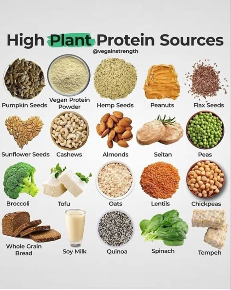 Vegan protein meals ideas Vegan Protein Meals, Plant Protein Sources, Healthy Food Chart, Plant Based Protein Sources, Vegan Protein Recipes, Vegan Protein Sources, High Protein Vegan Recipes, Meals Ideas, Food Health Benefits