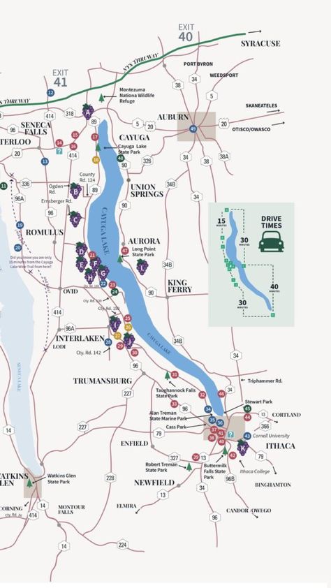 Finger Lakes Wineries, Finger Lakes Ny, Cayuga Lake, Keuka Lake, Wine Map, Seneca Lake, The Finger Lakes, Lake Trip, Wine Trail