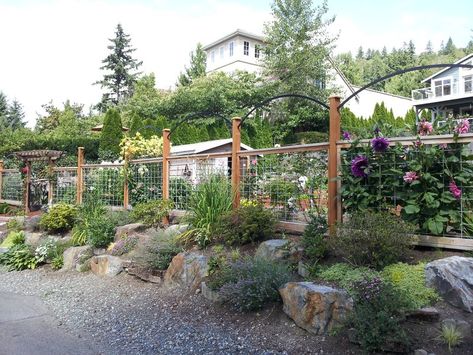 Deer Fencing Ideas, Deer Proof Garden, Deer Fencing, Deer Proof, Deer Fence, Garden Fences, Potager Garden, Front Yard Fence, Fencing Ideas