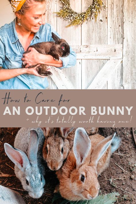 Rabbit Habitat Outdoor, Bunny Garden Ideas, Rabbit Cage Ideas Outdoor, Bunny Outdoor Enclosure, Bunny Care For Beginners, How To Care For Bunnies, Rabbits Outside, Bunny Cages Outdoor, Outdoor Bunny Enclosure