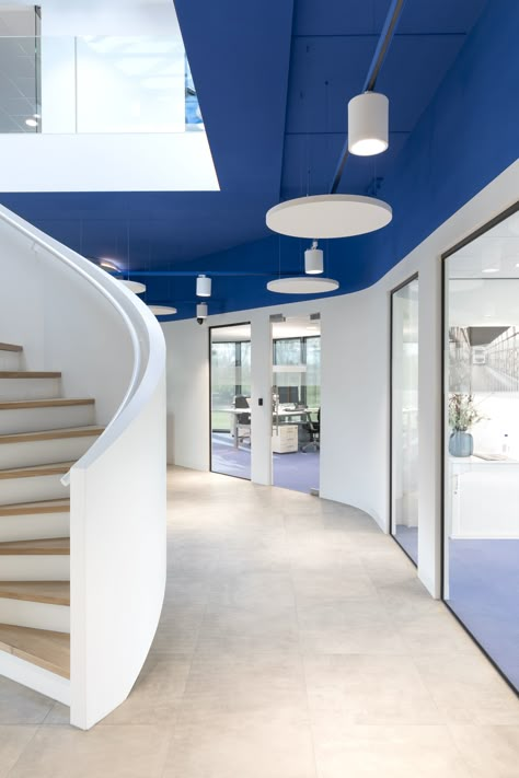 Blue Ceiling Office, Blue And White Architecture, Blue Office Interior Design, Sky Blue Interior Design, Office Staircase Design, Office Design Blue, Blue Office Design, Blue And White Office, Blue White Office