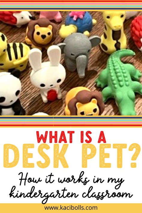 Mini Eraser Desk Pets, Stuffed Animals In Classroom, Treasure Chest Classroom Ideas, Desk Pet Classroom Management, Quiet Critters Classroom Diy, Toys For Kindergarten Classroom, Behavior Ideas For Preschool, Classroom Pets Real, Kindergarten Management Ideas