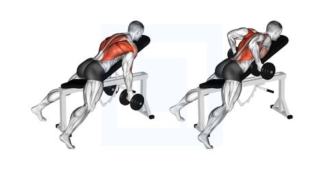 Chest Supported Row, Dumbbell Back Exercises, Rear Delt Row, Lat Workout, Dumbbell Row, Traps Workout, Upper Back Muscles, Good Back Workouts, Gym Workout Guide