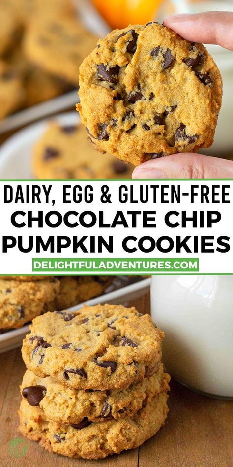 Gluten Free Pumpkin Protein Cookies, Dairy Wheat And Egg Free Recipes, Wheat Egg And Dairy Free Recipes, Allergen Free Pumpkin Recipes, Gf Df Rsf Recipes, Gluten Free Chocolate Chip Pumpkin Cookies, Gluten Free Dairy Free Egg Free Pumpkin Recipes, Wheat Free Egg Free Recipes, Gf Df Egg Free Dessert