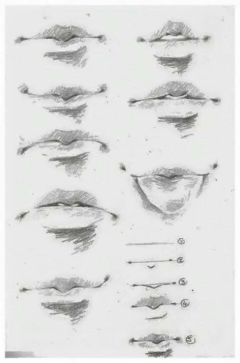 Beautiful Pencil Drawings, Drawing Tuts, Istoria Artei, الفن الرقمي, Mouth Drawing, Nose Drawing, Seni Dan Kraf, Lips Drawing, Art Tools Drawing