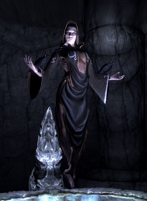 Nocturnal [The Elder Scrolls] is the Daedric Prince whose sphere is the night and darkness. She is also known as the Night Mistress and "Lady Luck". The Cyrodilic Thieves Guild leader, the Gray Fox, has the Gray Cowl of Nocturnal, which truly represents the sphere's darkness quality; it permanently removes the wearer's specific identity from all history. Regardless, the Cyrodiil Thieves Guild venerates Nocturnal by ending talks with the saying "Shadow hide you." Daedric Prince, Skyrim Cosplay, Elder Scrolls Lore, Scrolls Game, Elder Scrolls Art, Elder Scrolls Skyrim, Elder Scrolls V Skyrim, Elder Scrolls Online, Tv Tropes