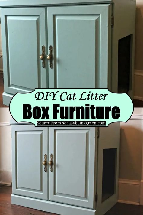 Diy Litter Box Enclosure Litter Robot, Diy Covered Cat Litter, Cat Litter Box Ideas Hidden Hallway, Catbox Cabinet Ideas, Double Cat Litter Box Ideas Hidden, Cat House Litter Box Diy, Diy Litter Box Enclosure Top Entry, Kitty Litter Box Ideas Diy, Cat Litter Box Ideas Hidden Ikea