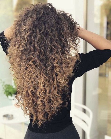 Curly Ombre Hair, Hombre Hair, Hairstyle Wigs, Curly Ombre, Ombre Curly Hair, Blonde Afro, Ombre Blond, Highlights Curly Hair, Brown Curly Hair