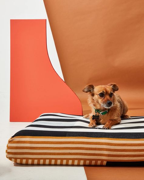 Ethically Made Goods for the Living Room | MINNA – Page 2 – MINNA Handwoven Throw, Bed Dog, Covered Dog Bed, Bath Art, Fabric Rug, Striped Fabrics, Pet Parent, How To Make Bed, Four Legged