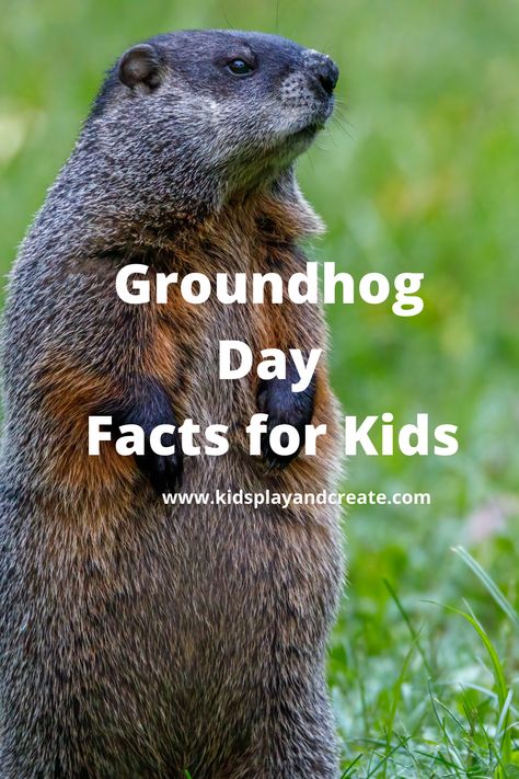 Groundhog Day Jokes, Groundhog Day Games For Kids, Groundhog Day Activities 4th Grade, Kindergarten Groundhog Day, Groundhog Activities, Preschool Groundhog, Seniors Activities, Groundhog Day Activities, Ground Hog