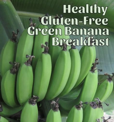 5 Healthy, Gluten-Free Green Banana Breakfast Recipes - Delishably Banana Breakfast Recipes, Green Banana Flour, Cooking Bananas, Unripe Banana, Banana Flour, Gf Breakfast, Green Eating, Healing Recipes, Banana Breakfast