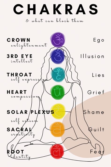 Yoga therapy and the chakras. An yogi seated showing the position of the chakras in colour as a diagram. What Is A Chakra, Chakra Diagram, Chakra Emotions, Which Chakra Is Blocked, What Is Chakra, Yoga Psychology, Yoga Learning, Chakra For Beginners, Meditation Steps