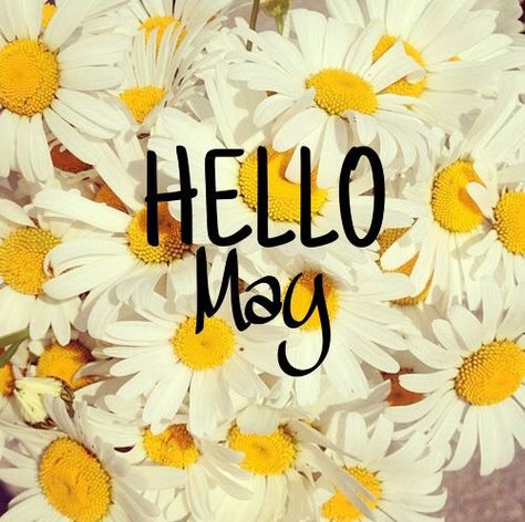 May Pictures Month Of, May Pictures, May 1st, Hello May Month, Hello May Quotes, Welcome May, Pics For Fb, Cover Pics For Facebook, Calendar Pictures