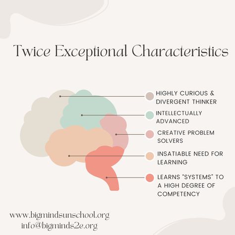 Twice Exceptional Children, Neurodiversity Infographic, Vygotsky Theory Child Development, Aba Resources, What Does Neurodivergent Mean, Brain Anyersym Awareness, Demand Avoidance Children, Twice Exceptional, Dysgraphia