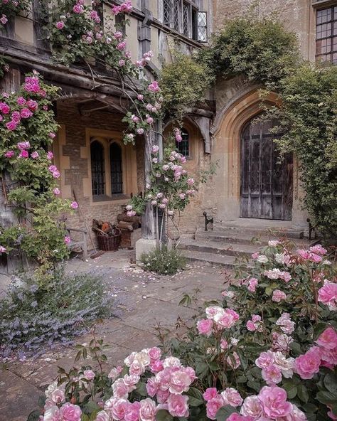 Sarah Core, Rose Gardens, English Manor, Visiting England, Cottage Core Aesthetic, The Courtyard, English Countryside, Beautiful Rose, Rose Garden