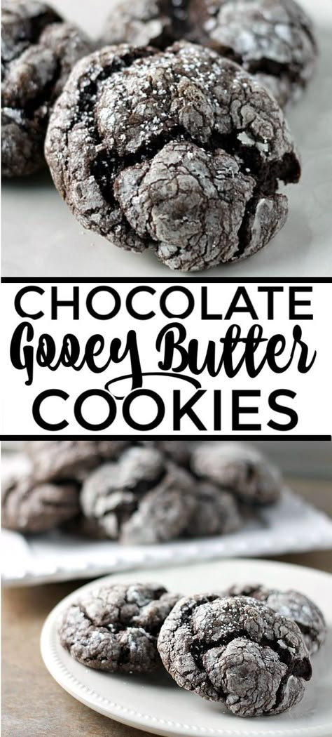 Chocolate Gooey Butter Cookies are light and pillowy and melt in your mouth! At only six ingredients, they just might be your new favorite cookie! | www.persnicketyplates.com #dessert #cookies #cakemixcookies #chocolate #baking #easyrecipe #semihomemade #christmascookies Cookies Gooey, Persnickety Plates, Chocolate Marshmallow Cookies, Salted Caramel Pretzels, Chocolate Chip Shortbread Cookies, Quick Cookies Recipes, Gooey Butter Cookies, Quick Cookies, Future Chef