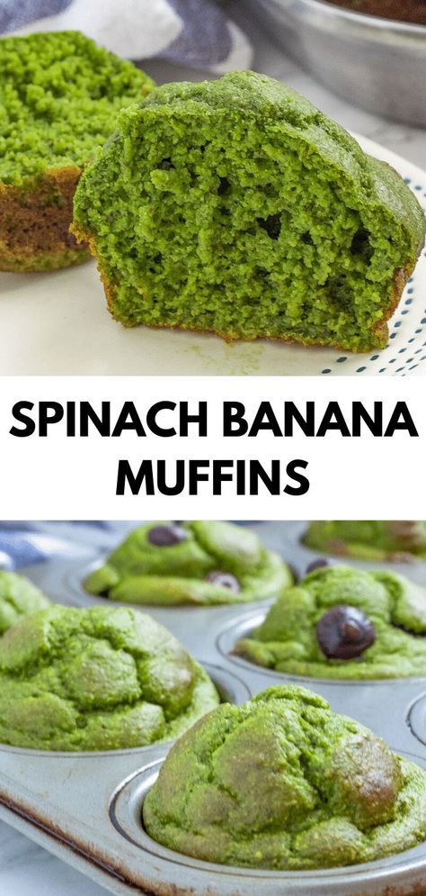 These spinach banana muffins are a kid-friendly healthy blender muffin, lightly sweetened and full of fruits and veggies! They're great for meal prep, busy weekday mornings, and are quite freezer-friendly! Healthy Saint Patricks Day Snacks, St Patty Food For Kids, Green Treats For Kids, St Patrick's Day For Toddlers, St Patrick's Day Food Ideas For Kids, Healthy Green Snacks For St Patricks Day, Green Foods For St Patricks Day Kids, St Patricks Day Green Muffins, St Patricks Day Baking Ideas Kids