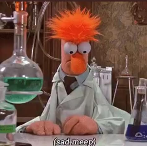 Beaker The Muppets, Muppet Matching Pfp, Beaker Muppets Funny, Muppets Reaction Pics, The Muppets Aesthetic, Muppet Aesthetic, Muppet Meme, Muppets Beaker, Muppets Funny