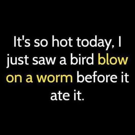 Construction Humor, Hot Weather Humor, Weather Quotes, It's So Hot, Hot Outside, This Heat, Funny Thoughts, Funny Cartoon Quotes, Friday Feeling