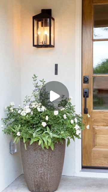 ✨Kate Fuller✨ on Instagram: "Here's a tip on front door decor!✨🌳🧡comment "DECOR" and I'll send you a DM💌🌸I'm sharing my tips on choosing planters and faux trees for the front door space! #frontdoordecor #outdoordesign #planters #homestyling" Front Door Planters, Porch Design Ideas, Porch Fireplace, Back Porch Ideas Decks, Farmhouse Front Porches, Front Porch Ideas Curb Appeal, Front Porch Ideas For Mobile Homes, Small Front Porches, Small Porches