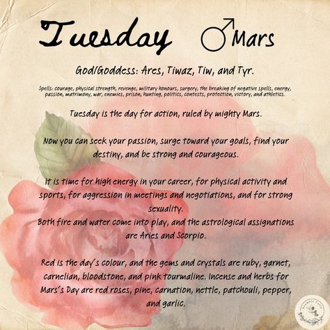 Tuesday Correspondences - Tuesday is the day for action, ruled by mighty Mars. #mars #tuesday #tyr #pagan #daysoftheweek #witchcraft #spells #magick #witch Digital Grimoire, Spiritual Tips, Spiritual Vibes, Witchcraft Spells, Military Honor, Witch Spirituality, Magic Spell Book, Magic Quotes, Grimoire Book