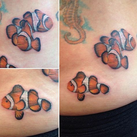 Clown Fish Tattoo, tomatoe clown fish tattoo, tomato clown fish tattoo, clown fish tattoo design, clown fish tattoo designs, cute clown fish tattoo, multi clown fish tattoo, american traditional clown fish tattoo, clown fish tattoo meaning, small clown fish tattoo, clown fish tattoo outline, #clownfish #clownfishtattoo #sleeveprogress #seasleeve #shark #sharktattoos #localtattooartist #localtattooshop #shoplocal #siouxfallls #inked #inklife #customcreations #inkstagram #inkslinger American Traditional Clown, Clownfish Tattoo, Clown Fish Tattoo, Fish Tattoo Meaning, Tattoo Designs Cute, Tattoo American Traditional, Fish Tattoo Design, Thigh Tat, Clown Tattoo