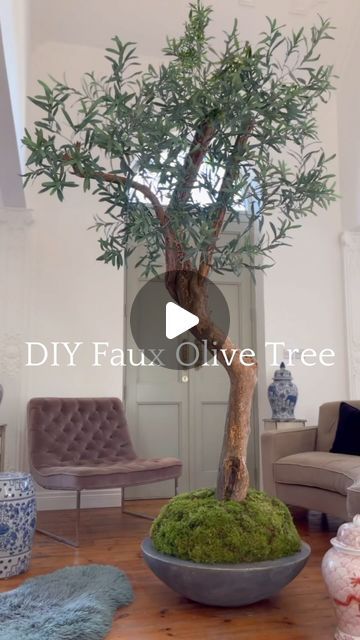 Jack kinsey [ Interior Design Masters ] on Instagram: "😍 ONE OF MY FAV DIY’s! I really wanted a faux Ancient Olive Tree for my hallway, something big and statement ! 🌳 But... when I looked at how much even small faux tree’s were online I thought I’d better give one a go myself 😅 I foraged a fallen branch and secured it in an old planter using concrete, to build up the base I used expanding foam and added moss for a realistic effect! I then pushed faux olive branches into the trunk by pre drilling holes using a screw driver. Really really happy with how this turned out, so many people who visit my home think it’s real !... 😅😍😅😍😅😍 #interiordesign #homedecor #diyhomedecor #beforeandafterhomeedition #diyolivetree #olivetree #diyhome #houseinspo #renovation" Diy Tree Trunk Ideas, How To Make A Faux Olive Tree, Olive Tree Diy, Diy Faux Olive Tree, Diy Olive Tree, Diy Faux Tree, Faux Olive Branches, Grapevine Tree, Church Conversions