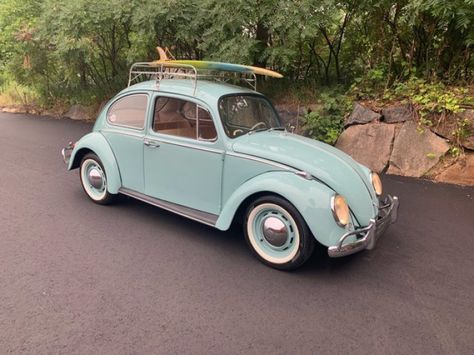 1966 Volkswagen Beetle for sale near Annandale, Minnesota 55302 - Classics on Autotrader Vw Kombi Van, Beetle For Sale, Cargo Carrier, Car Dealers, Luggage Rack, Car Prices, Car Finance, Car Club, Japanese Cars