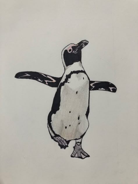 African Penguin Drawing, African Penguin Tattoo, Emperor Penguin Tattoo, Pinguin Illustration, Penguin Sketch, Giraffe Costume, Penguin Tattoo, African Penguin, Intense Emotions