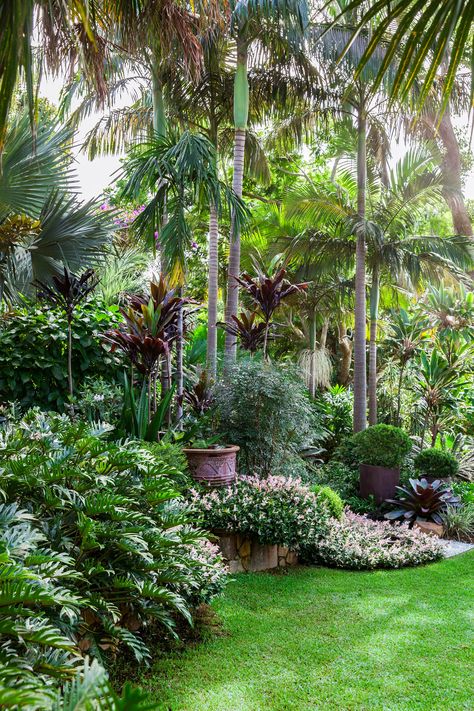 Tropical Backyard Landscaping, Trachelospermum Jasminoides, Balinese Garden, Tropical Landscape Design, Tropical Garden Ideas, Tropical Garden Design, Tropical Backyard, Tropical Landscape, Tropical Gardens