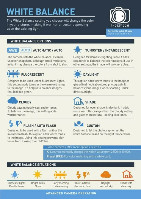 Nikon Cheat Sheet Cards Camera Settings, Flash Cheat Sheet, Photo Ideas Landscape, Photzy Snap Cards, White Balance Cheat Sheet, Photo Cheat Sheet, Youth Sports Photography, Manual Mode Photography, Photography Classroom