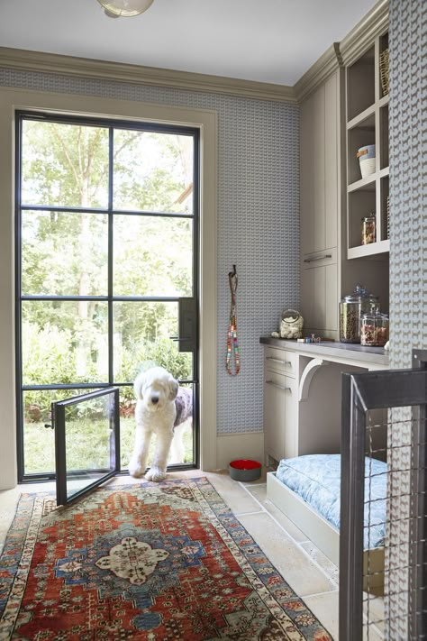 This Is The Dog Room Of Every Pet Owner's Dreams Built In Dog Bed, Dog Room Decor, Dog Doors, Dog Room Ideas, Pet Room, Dog Spaces, Dog Area, Dog Room, Mudroom Laundry