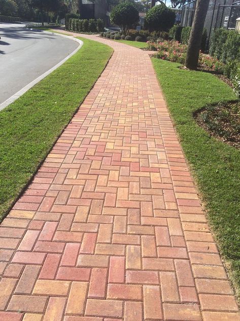 Brick Pavement, Brick Sidewalk, Walkway Landscaping, Patio Pavers Design, Walkway Design, Brick Walkway, Outdoor Walkway, Paver Walkway, Walkway Ideas