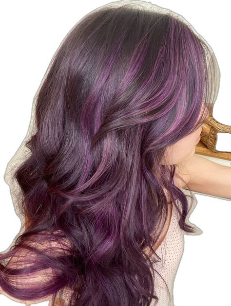 Isabella Valencia, Purple Highlights Brown Hair, Purple Hair Streaks, Purple Brown Hair, Aesthetic Note, Skunk Hair, Dark Purple Hair, Plum Hair, Dyed Hair Purple