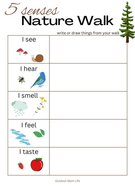 5 SENSES NATURE WALK Scavenger Hunt Printable Outside Sensory Nature Activity Nature Scavenger Walk Instant Download - Etsy UK Nature Preschool Worksheets, 2nd Grade Nature Activities, Nature Walk Activities For Toddlers, Homeschool Outside Activities, Nature Themed Activities For Kids, Nature Lessons For Preschool, Autumn Outdoor Activities, Fall Nature Scavenger Hunt For Kids, Nature Scavenger Hunt For Kids Printable