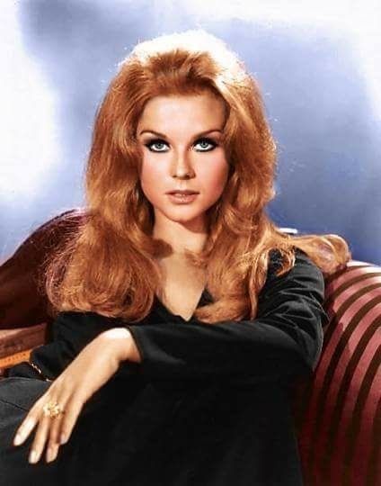 Rachel Welch, 60s Girl, Faye Dunaway, Ann Margret, Beauty Icons, Ginger Hair, Classic Beauty, Hollywood Glamour, Vintage Beauty